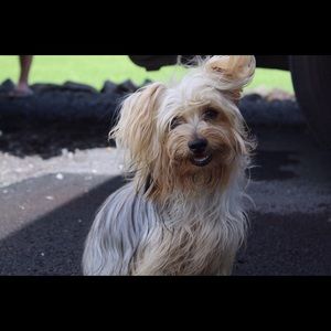 Meet your Posher, Jjeannine